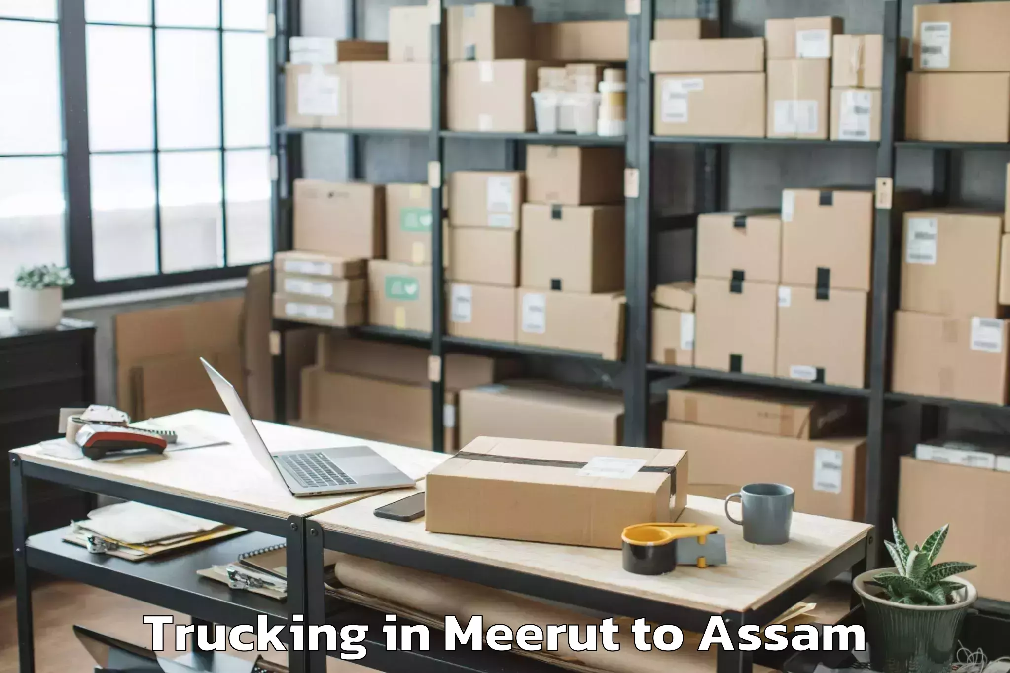 Trusted Meerut to Sualkuchi Trucking